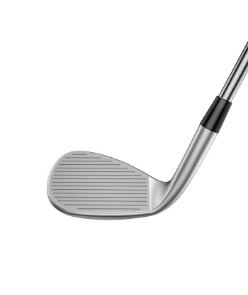 Cobra Wedge SnakeBite X 2024 la livraison gratuite