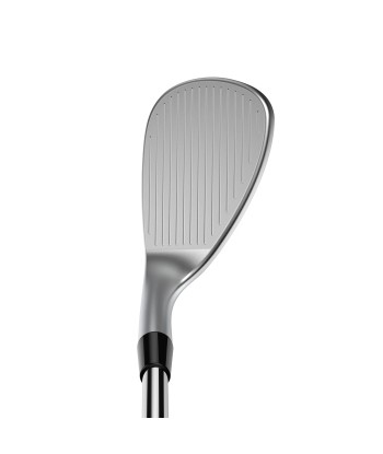 Cobra Wedge SnakeBite X 2024 la livraison gratuite