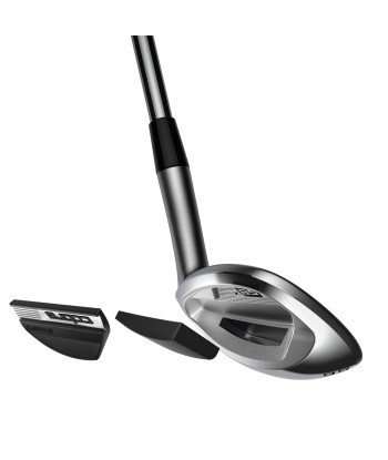 Cobra Wedge SnakeBite X 2024 la livraison gratuite