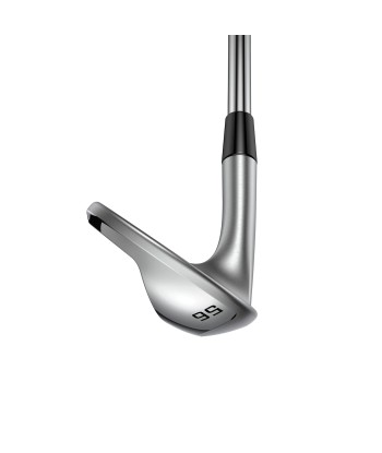 Cobra Wedge SnakeBite X 2024 la livraison gratuite