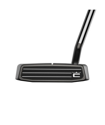 Cobra Putter King Vintage Stingray-30 une grave pollution 