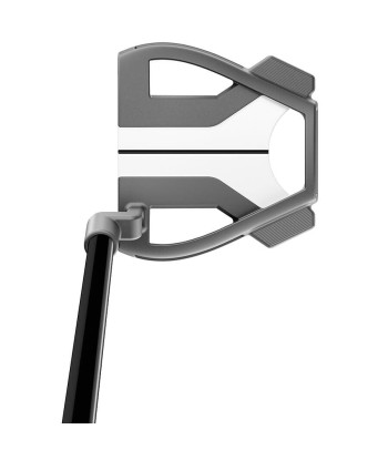 TAYLORMADE PUTTER SPIDER TOUR X L-Neck Comparez plus de prix