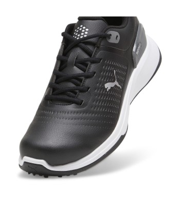 Puma chaussures de golf Grip Fusion Flex le concept de la Pate a emporter 