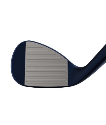 Callaway Wedges Opus Platinium Blue Comparez plus de prix