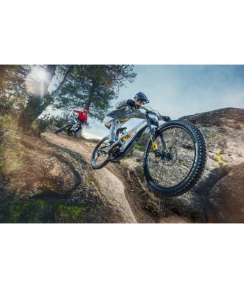 VTT Électrique Intense Tazer MX Pro Carbon Blanc du meilleur 