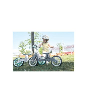 Draisienne Polisport 2-5 ans online