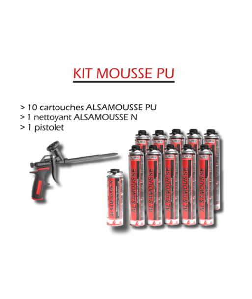 Kit Mousse polyuréthane + pistolet - Lot de 10 cartouches une grave pollution 